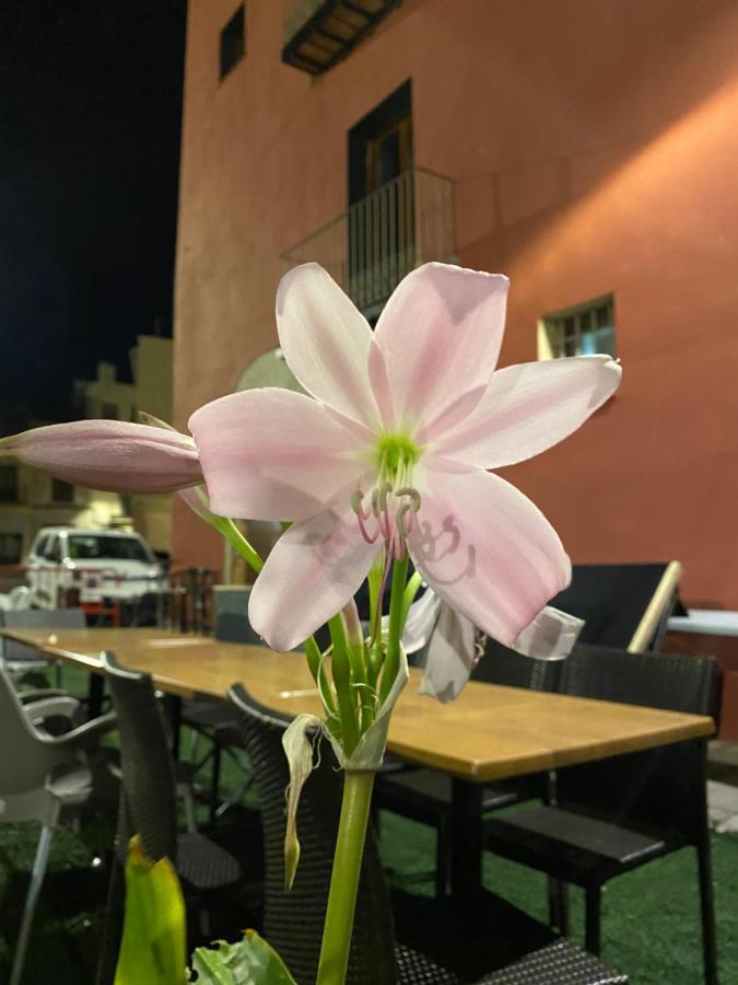 Restaurant & Rooms Cabrit サン・マテウ エクステリア 写真